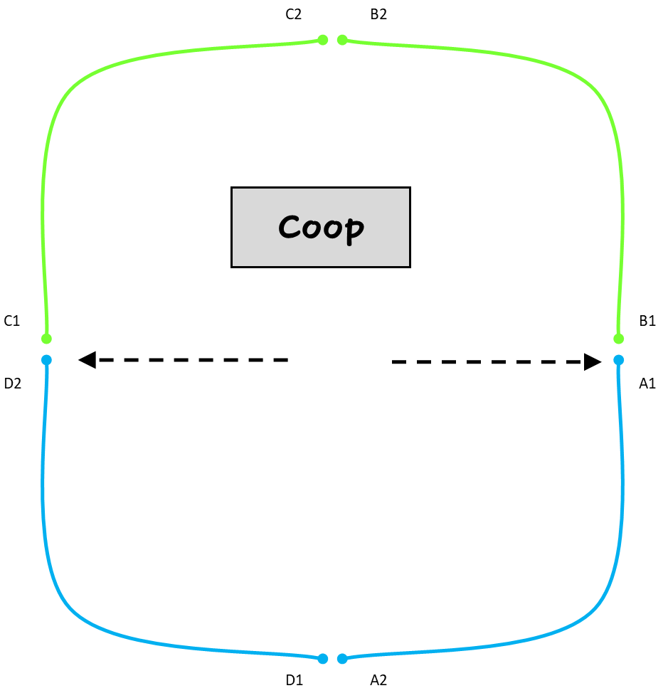 Sketch of a coop and surrounding fence. 