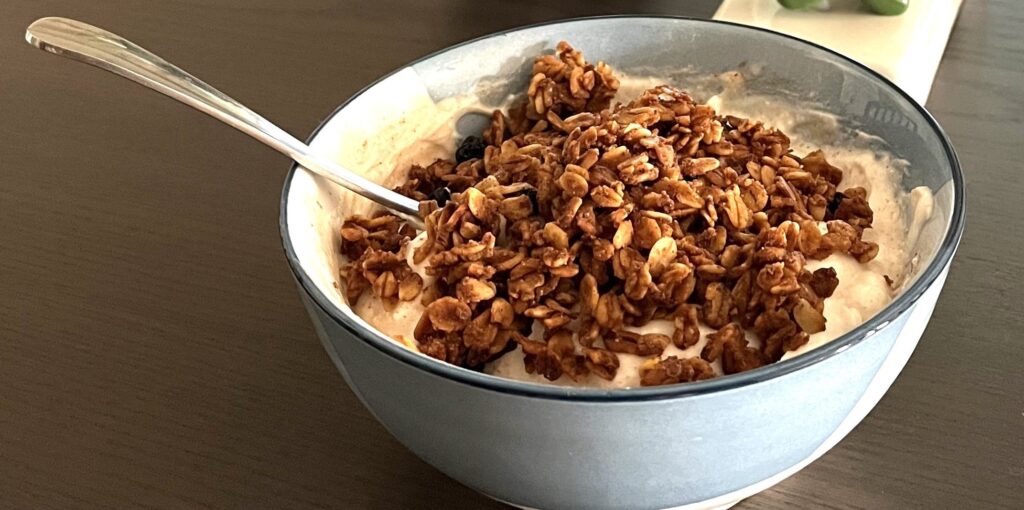 bowl of yogurt with granola