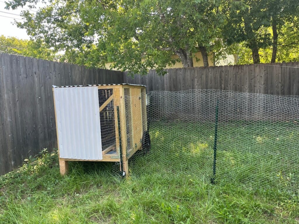 Chicken coop in a backyard